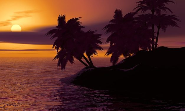 Cura della palma hawaiana: ecco come funziona