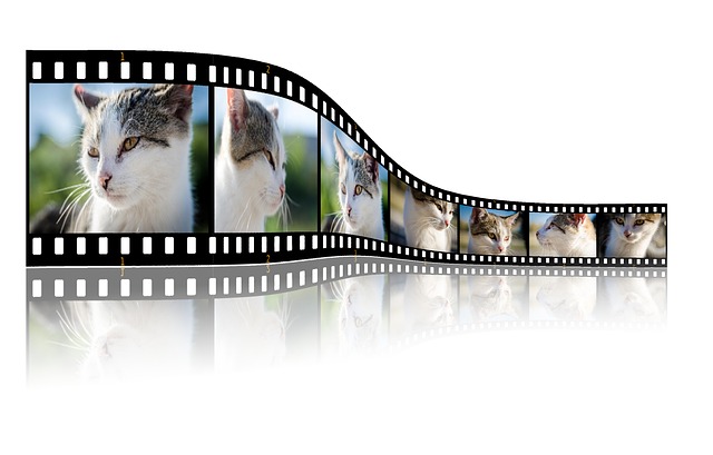 Digitalizzare i film con Silvercrest USB Video Grabber
