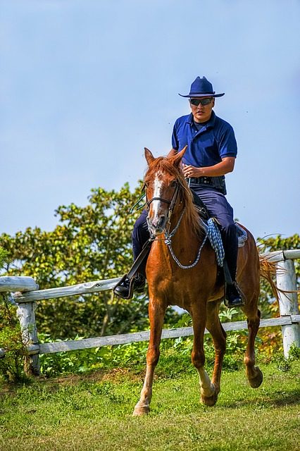 I proprietari di cavalli non pagano l’affitto stabile: potete farlo come proprietari stabili