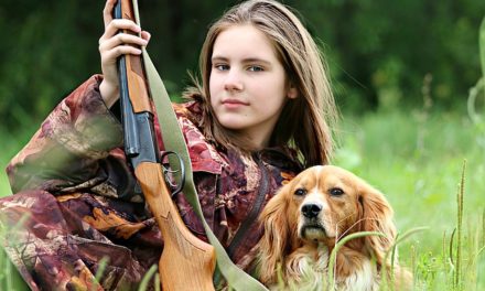 Puntatore: cane da caccia con corpo forte e buon odore: Infos