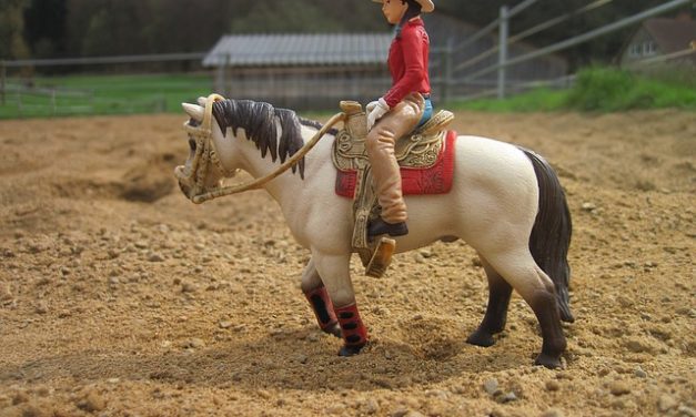 Impara a cavalcare un cavallo occidentale: ecco come funziona