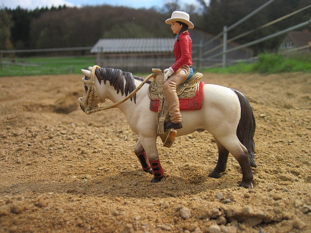 Impara a cavalcare un cavallo occidentale: ecco come funziona