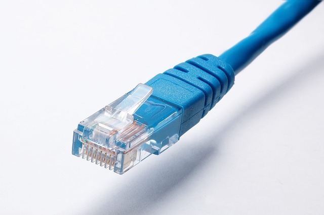 Cavo Ethernet e cavo LAN: Differenza