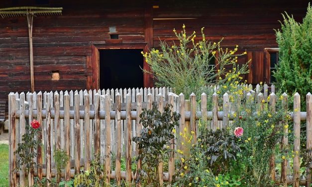 Abete Douglas: cura & conservazione del legno fatto a destra