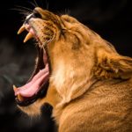 Abituarsi all’esterno: ecco come funziona
