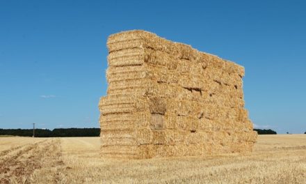 Come si misura l’altezza del bagagliaio? Ecco come funziona