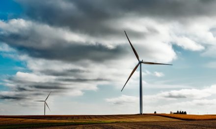 Quanto energia genera una turbina eolica?