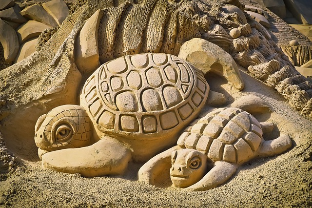 Comprare un mini-turtle: Cose da sapere su tenere e curare