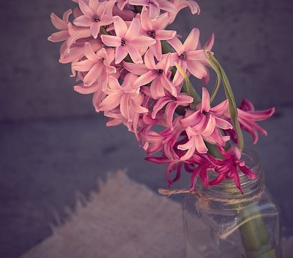 Piantare il vaso dei fiori correttamente