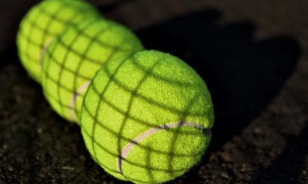 Le palline da tennis sono pericolose per i cani? Come giocare in sicurezza con il cane
