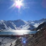 Per le tartarughe per costruire i loro propri telai a freddo: ecco come funziona
