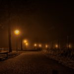 Illuminazione T5: Informativa