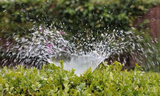 Costruire il proprio sistema di irrigazione automatica: ecco come funziona