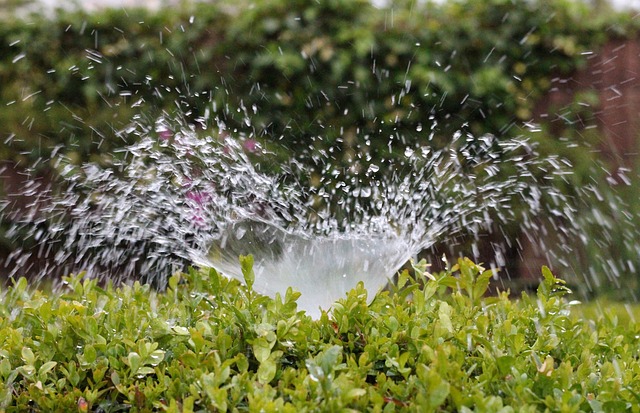 Costruire il proprio sistema di irrigazione automatica: ecco come funziona