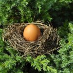 Tubo discendente di saldatura: Istruzioni