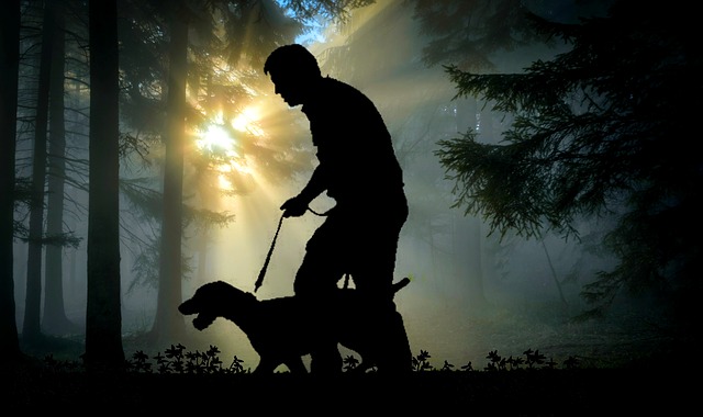 Cane senza guinzaglio: Allenamento per un cane obbediente
