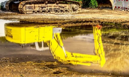 Acqua piovana: Evitare l’odore di marciume nel serbatoio dell’acqua piovana