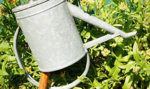 Pianta efficacemente vasche di zinco per il giardino come secchio