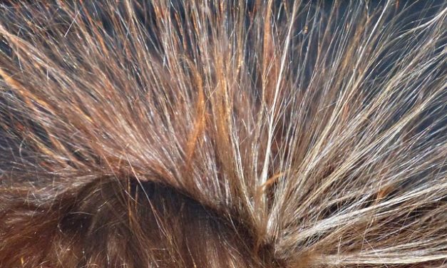 Acconciature per capelli sottili: questo è come i vostri capelli sembra voluminosi