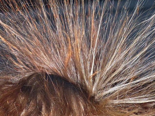 Acconciature per capelli sottili: questo è come i vostri capelli sembra voluminosi