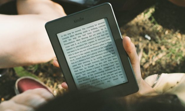 Ebook-Reader: una panoramica: Suggerimenti e supporto decisionale
