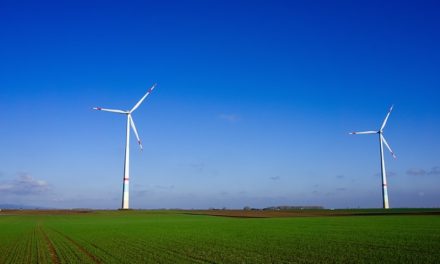 Turbine eoliche: l’autocostruzione è un successo