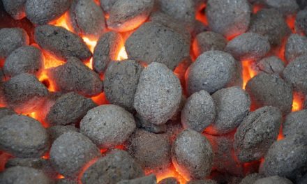 Bricchette di lignite: vantaggi e svantaggi del riscaldamento