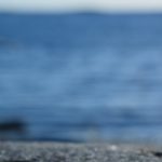 Letto ad acqua in un vecchio appartamento: informazioni importanti